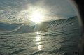 DSC_0055 copie